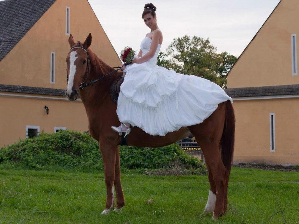 Dvůr Olšiny -Hotel&Horse-riding Karviná Buitenkant foto