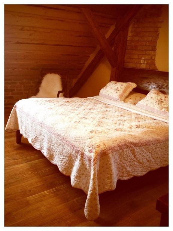 Dvůr Olšiny -Hotel&Horse-riding Karviná Kamer foto